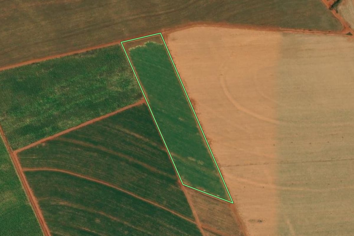 Imagem de satélite do imóvel rural em Borborema (SP), com o contorno declarado no CAR desenhado por cima.