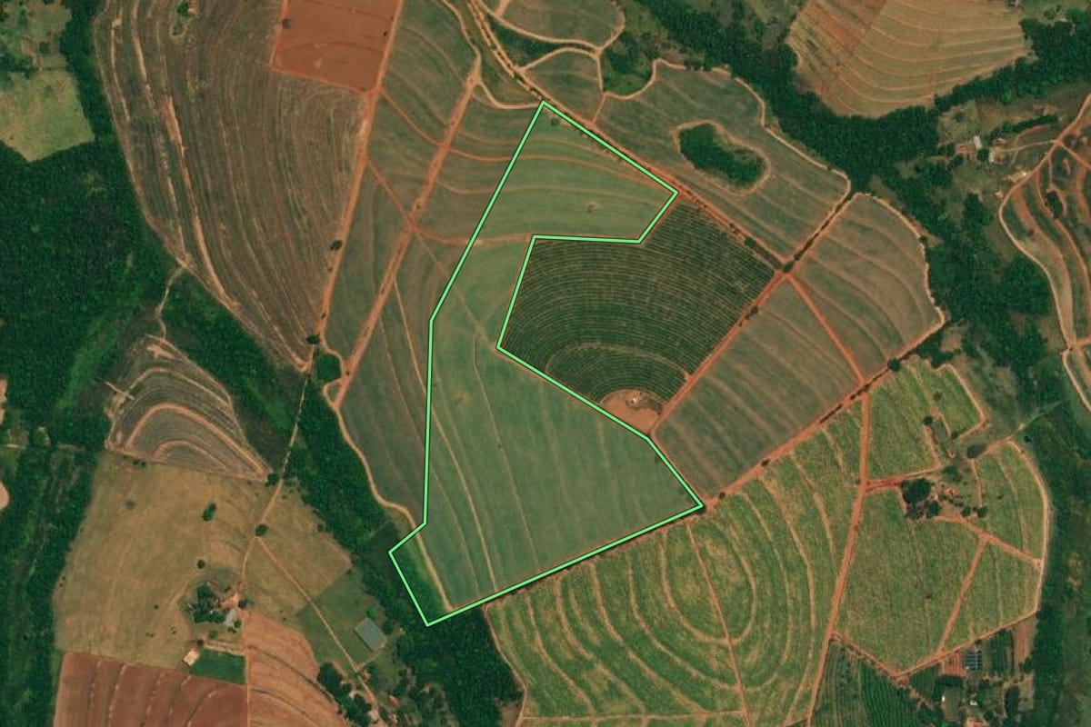 Imagem de satélite do imóvel rural em Borborema (SP), com o contorno declarado no CAR desenhado por cima.