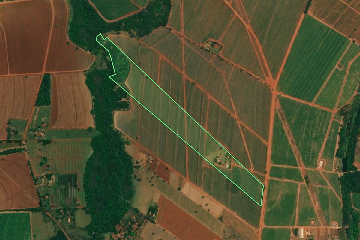 Imagem de satélite do imóvel rural em Borborema (SP), com o contorno declarado no CAR desenhado por cima.