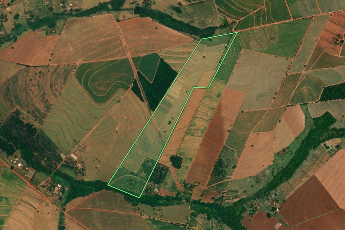 Imagem de satélite do imóvel rural em Borborema (SP), com o contorno declarado no CAR desenhado por cima.