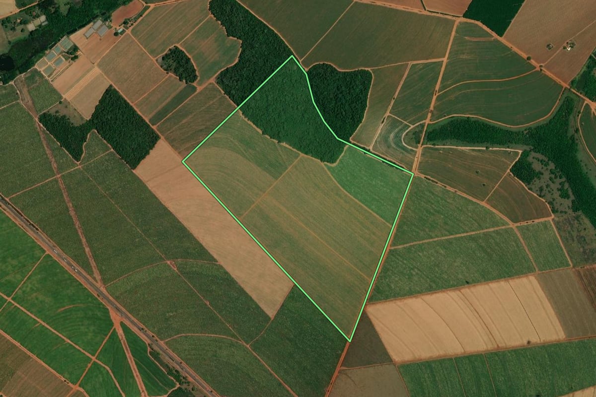 Imagem de satélite do imóvel rural em Borborema (SP), com o contorno declarado no CAR desenhado por cima.