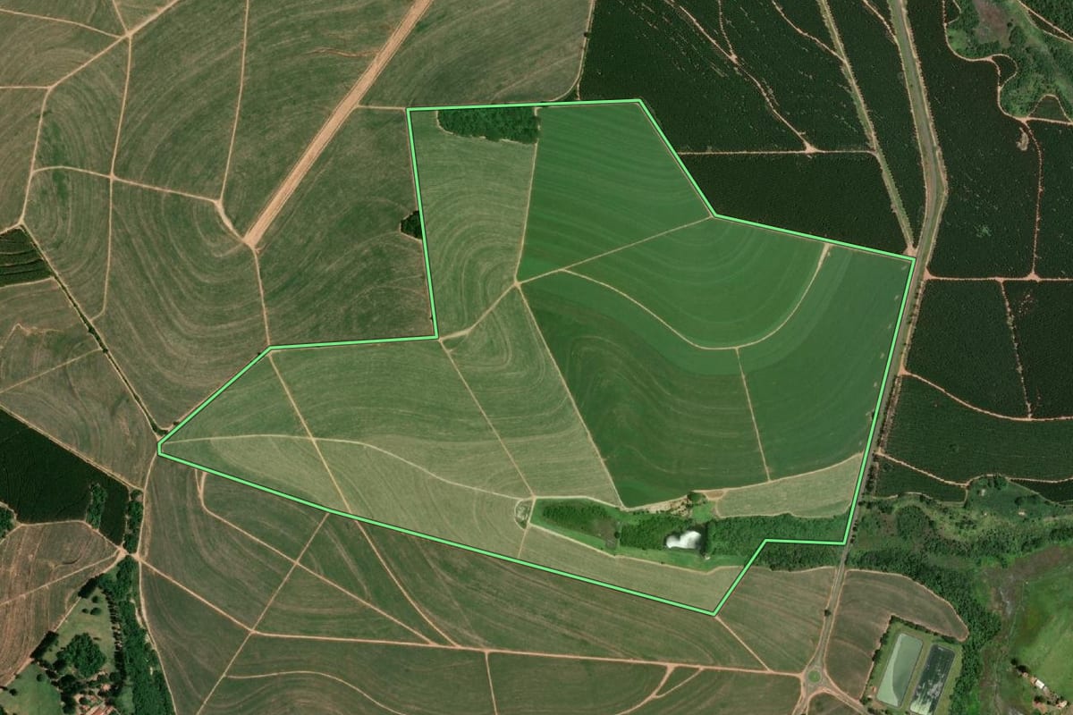 Imagem de satélite do imóvel rural em Borebi (SP), com o contorno declarado no CAR desenhado por cima.