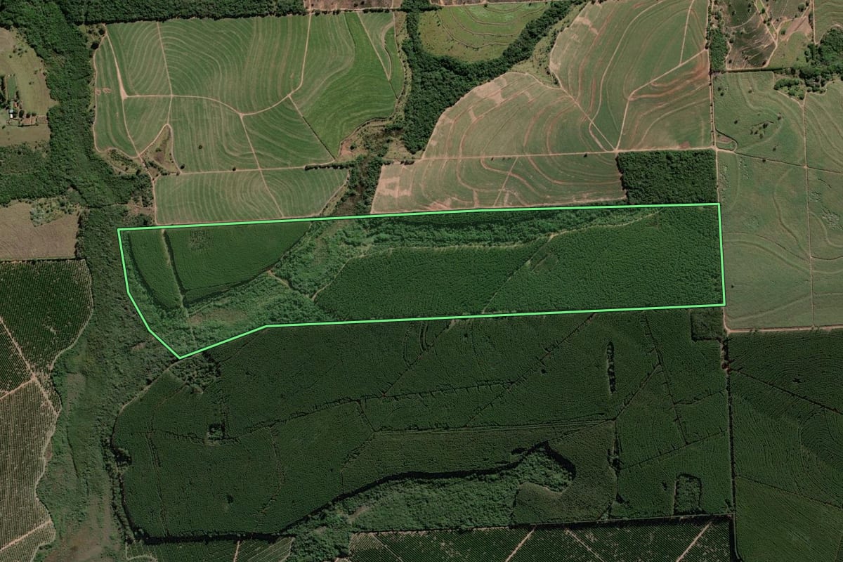 Imagem de satélite do imóvel rural em Borebi (SP), com o contorno declarado no CAR desenhado por cima.