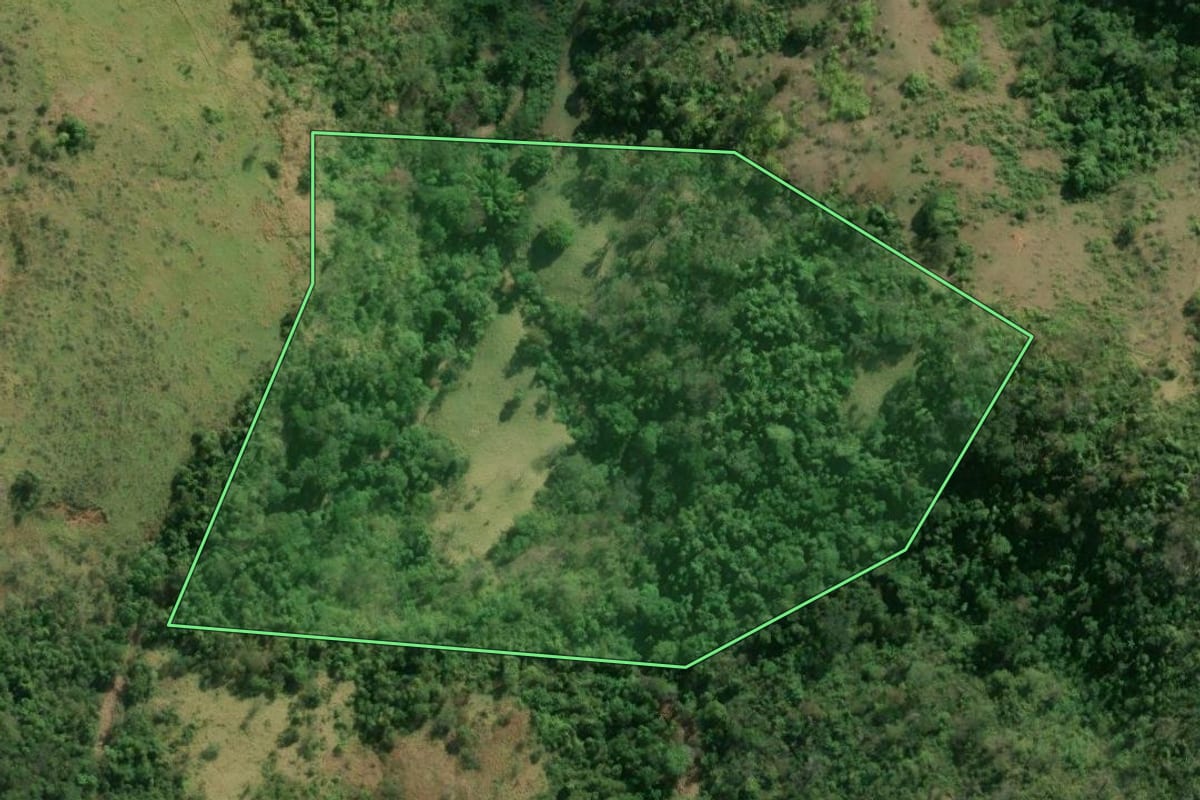 Imagem de satélite do imóvel rural em Botucatu (SP), com o contorno declarado no CAR desenhado por cima.