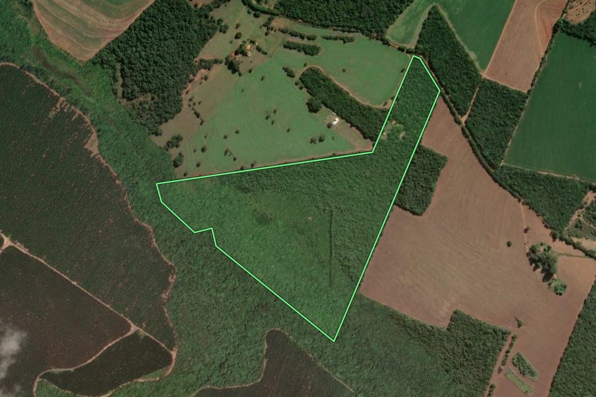Imagem de satélite do imóvel rural em Botucatu (SP), com o contorno declarado no CAR desenhado por cima.