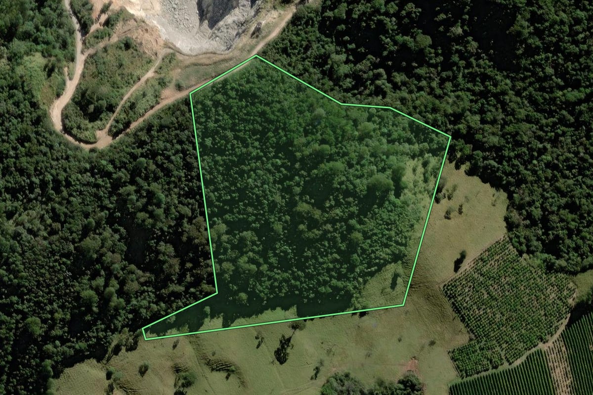 Imagem de satélite do imóvel rural em Bragança Paulista (SP), com o contorno declarado no CAR desenhado por cima.
