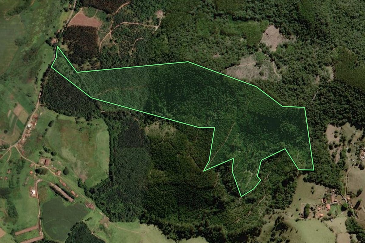 Imagem de satélite do imóvel rural em Bragança Paulista (SP), com o contorno declarado no CAR desenhado por cima.