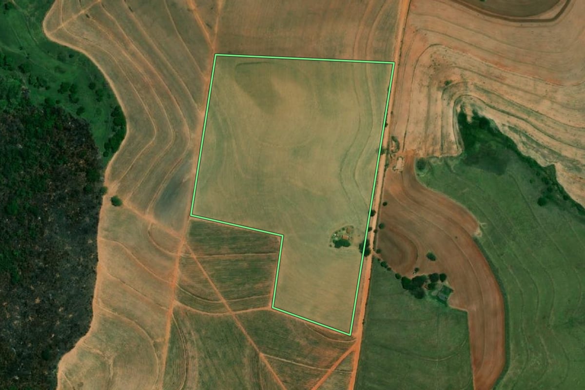 Imagem de satélite do imóvel rural em Braúna (SP), com o contorno declarado no CAR desenhado por cima.