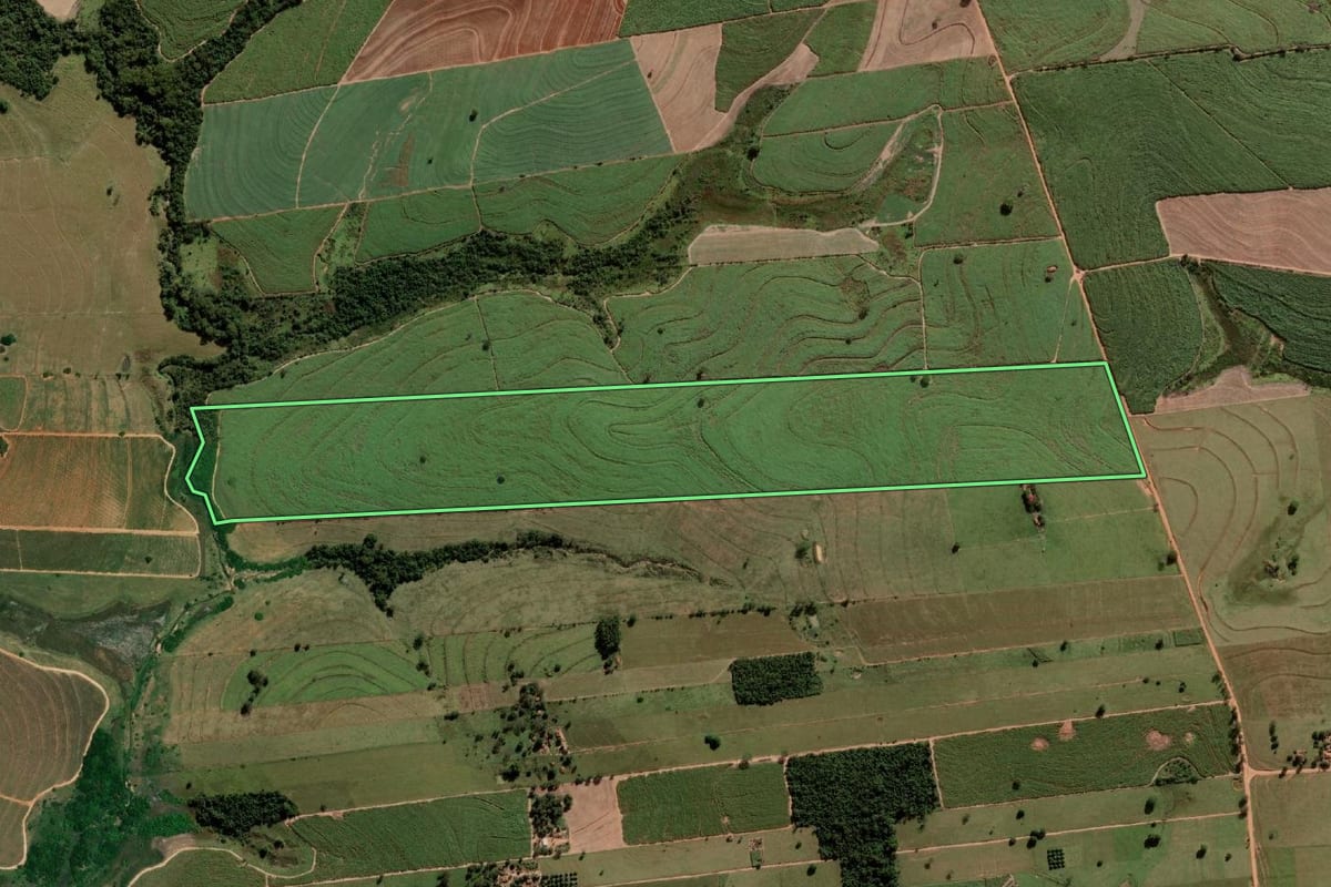 Imagem de satélite do imóvel rural em Braúna (SP), com o contorno declarado no CAR desenhado por cima.