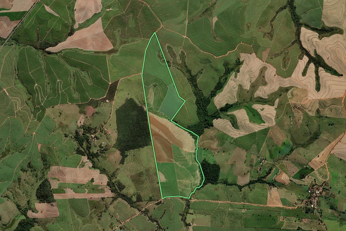 Imagem de satélite do imóvel rural em Braúna (SP), com o contorno declarado no CAR desenhado por cima.