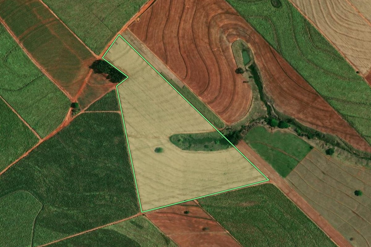 Imagem de satélite do imóvel rural em Braúna (SP), com o contorno declarado no CAR desenhado por cima.