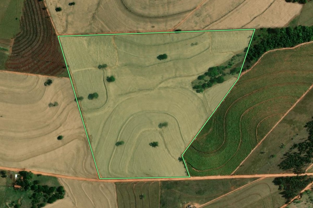 Imagem de satélite do imóvel rural em Braúna (SP), com o contorno declarado no CAR desenhado por cima.