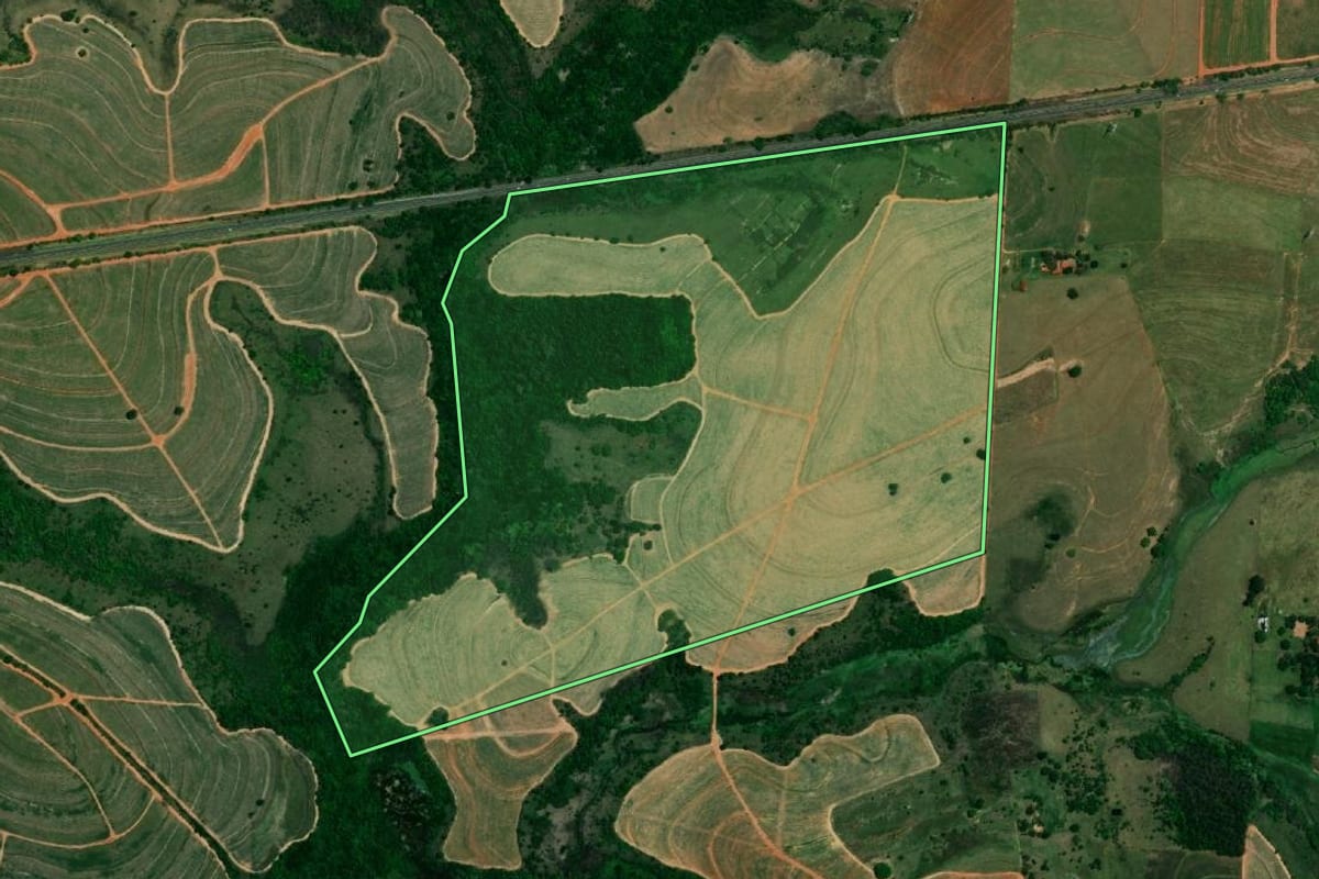 Imagem de satélite do imóvel rural em Braúna (SP), com o contorno declarado no CAR desenhado por cima.