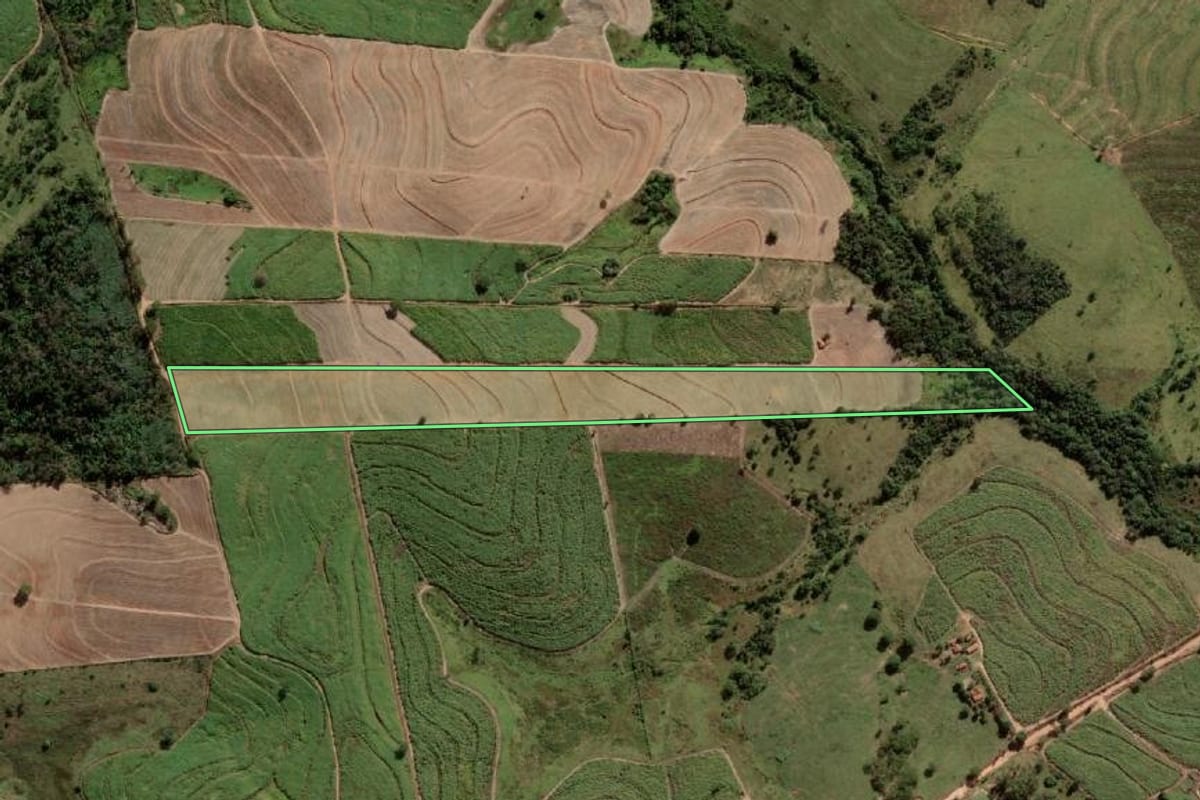 Imagem de satélite do imóvel rural em Braúna (SP), com o contorno declarado no CAR desenhado por cima.