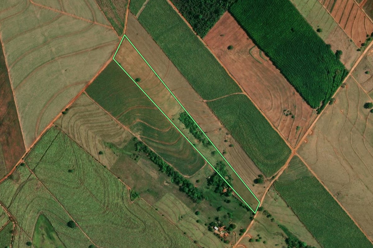 Imagem de satélite do imóvel rural em Braúna (SP), com o contorno declarado no CAR desenhado por cima.