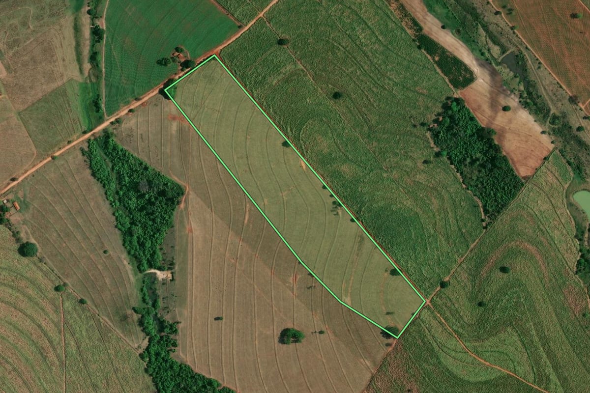 Imagem de satélite do imóvel rural em Braúna (SP), com o contorno declarado no CAR desenhado por cima.