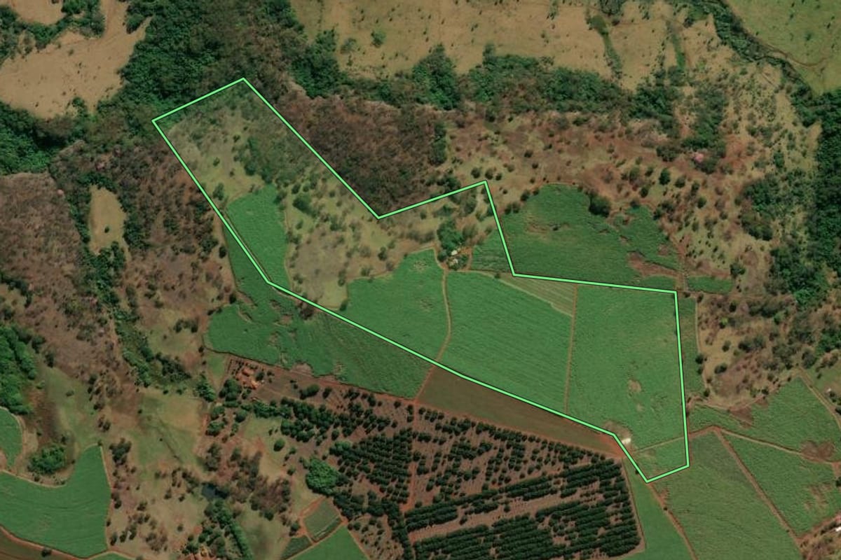 Imagem de satélite do imóvel rural em Brodowski (SP), com o contorno declarado no CAR desenhado por cima.