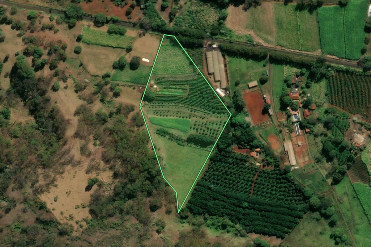 Imagem de satélite do imóvel rural em Brodowski (SP), com o contorno declarado no CAR desenhado por cima.