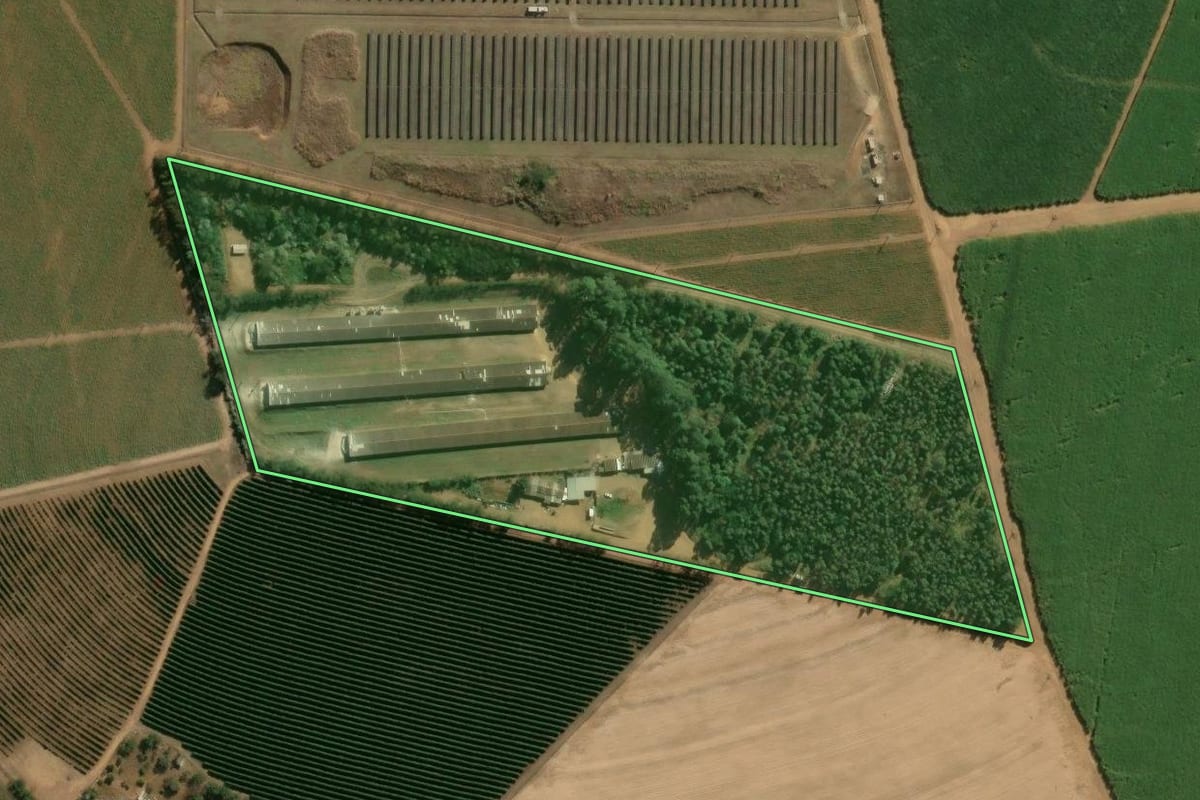 Imagem de satélite do imóvel rural em Brodowski (SP), com o contorno declarado no CAR desenhado por cima.
