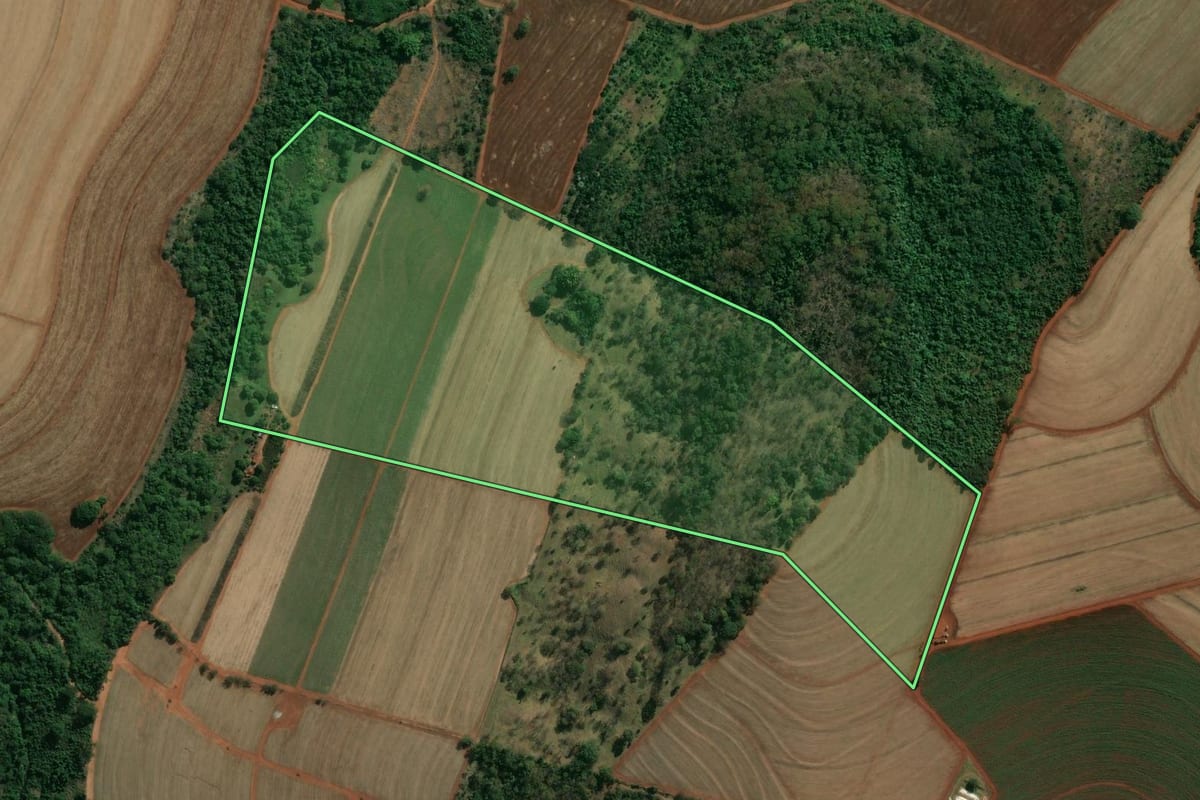 Imagem de satélite do imóvel rural em Brodowski (SP), com o contorno declarado no CAR desenhado por cima.
