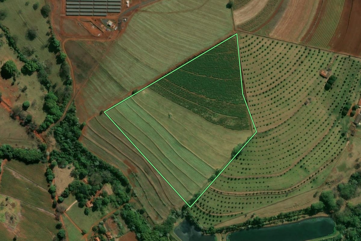 Imagem de satélite do imóvel rural em Brodowski (SP), com o contorno declarado no CAR desenhado por cima.