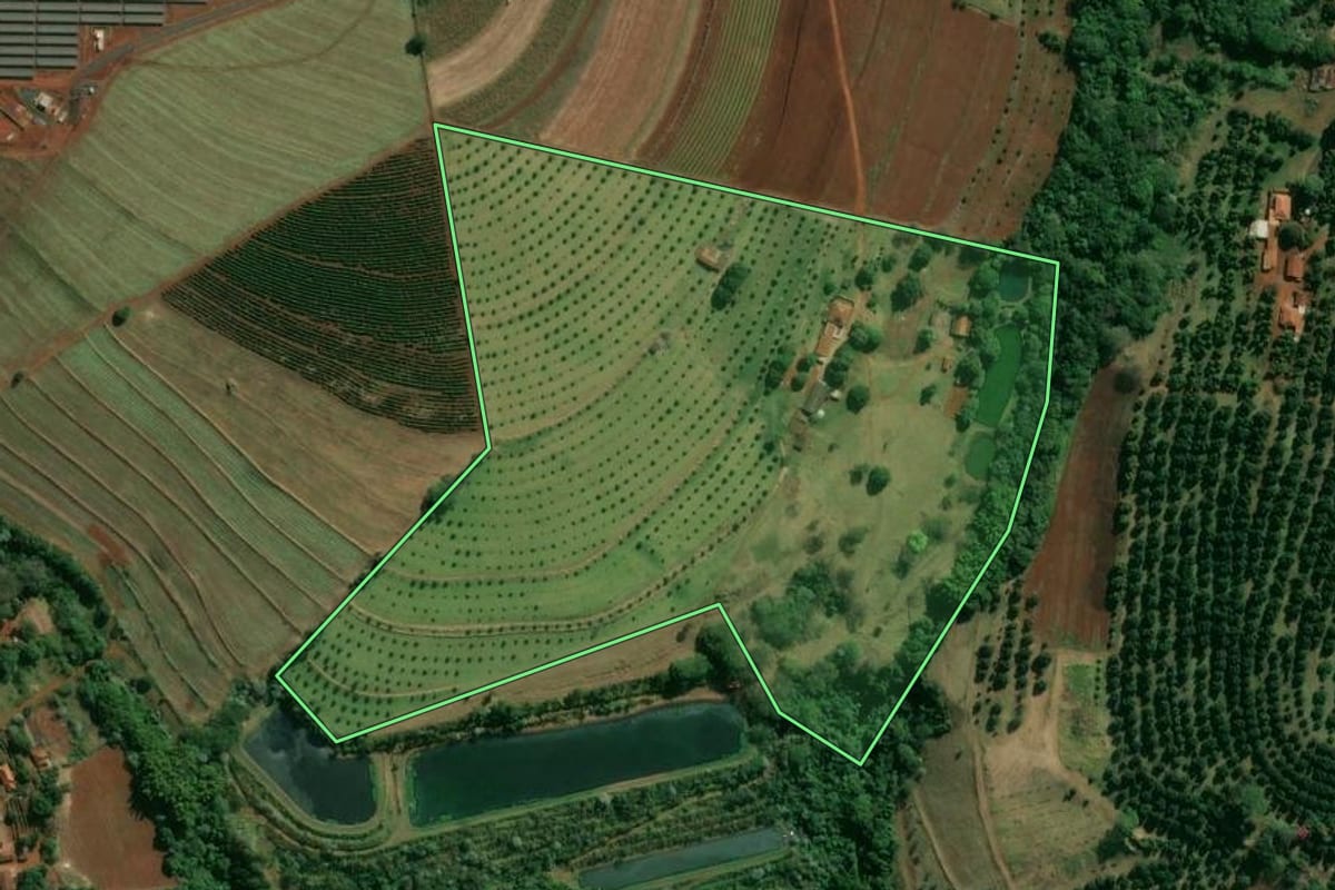 Imagem de satélite do imóvel rural em Brodowski (SP), com o contorno declarado no CAR desenhado por cima.