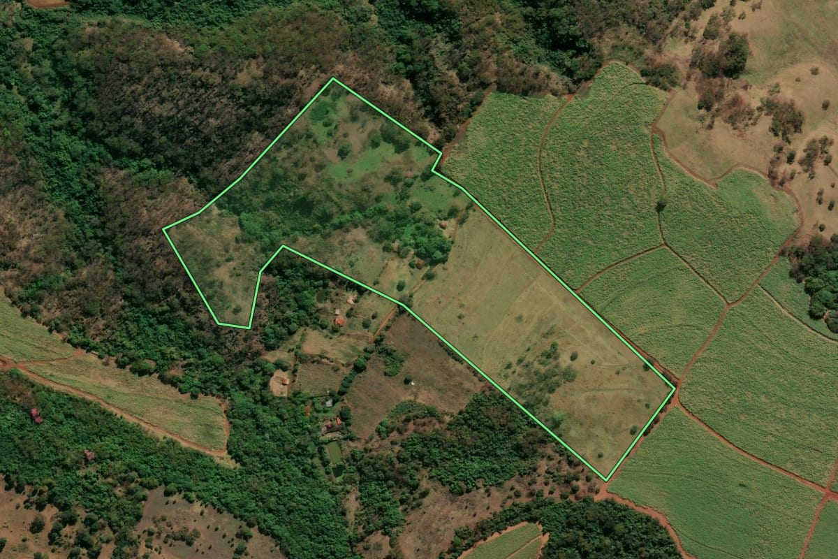 Imagem de satélite do imóvel rural em Brodowski (SP), com o contorno declarado no CAR desenhado por cima.