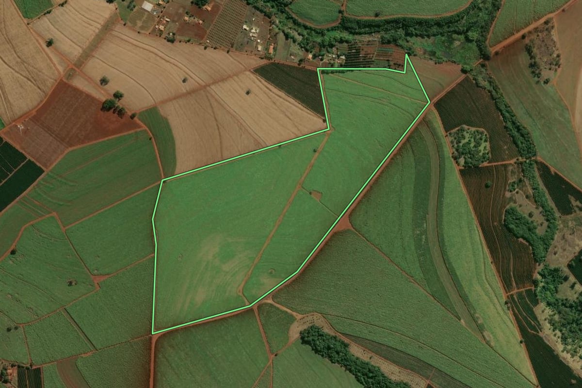 Imagem de satélite do imóvel rural em Brodowski (SP), com o contorno declarado no CAR desenhado por cima.