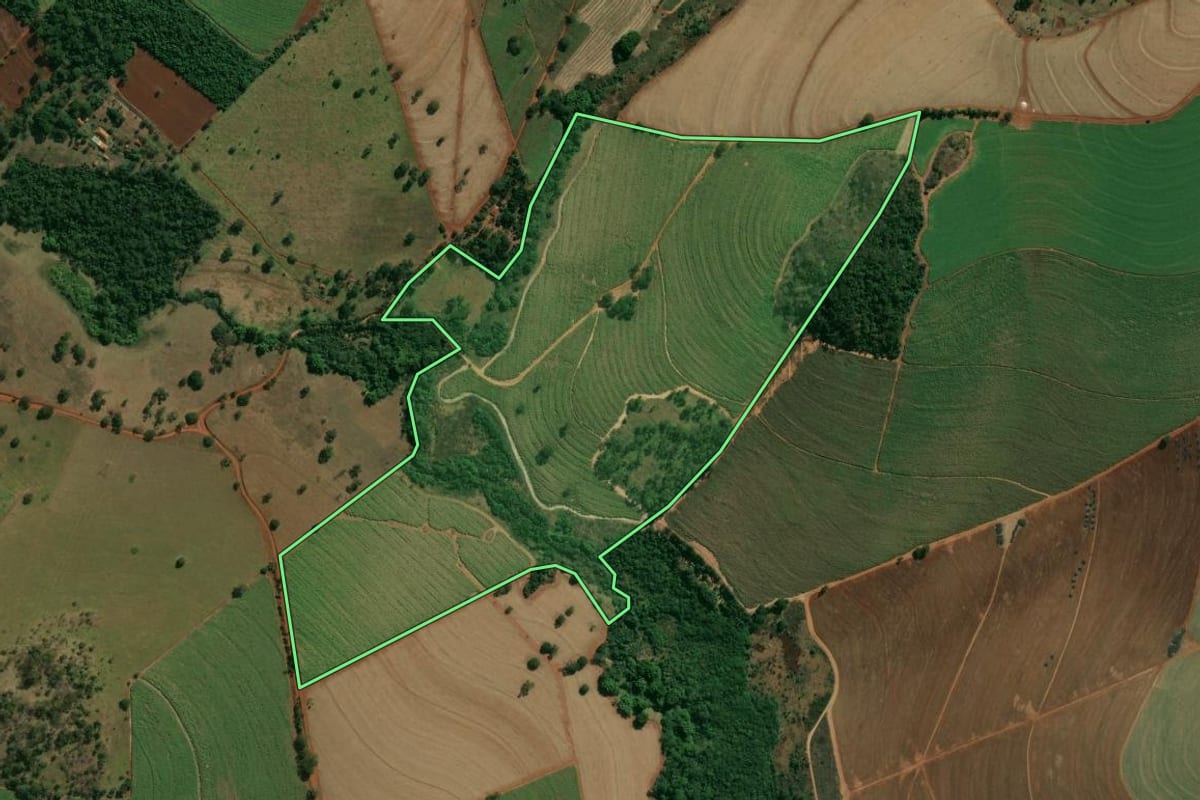Imagem de satélite do imóvel rural em Brodowski (SP), com o contorno declarado no CAR desenhado por cima.