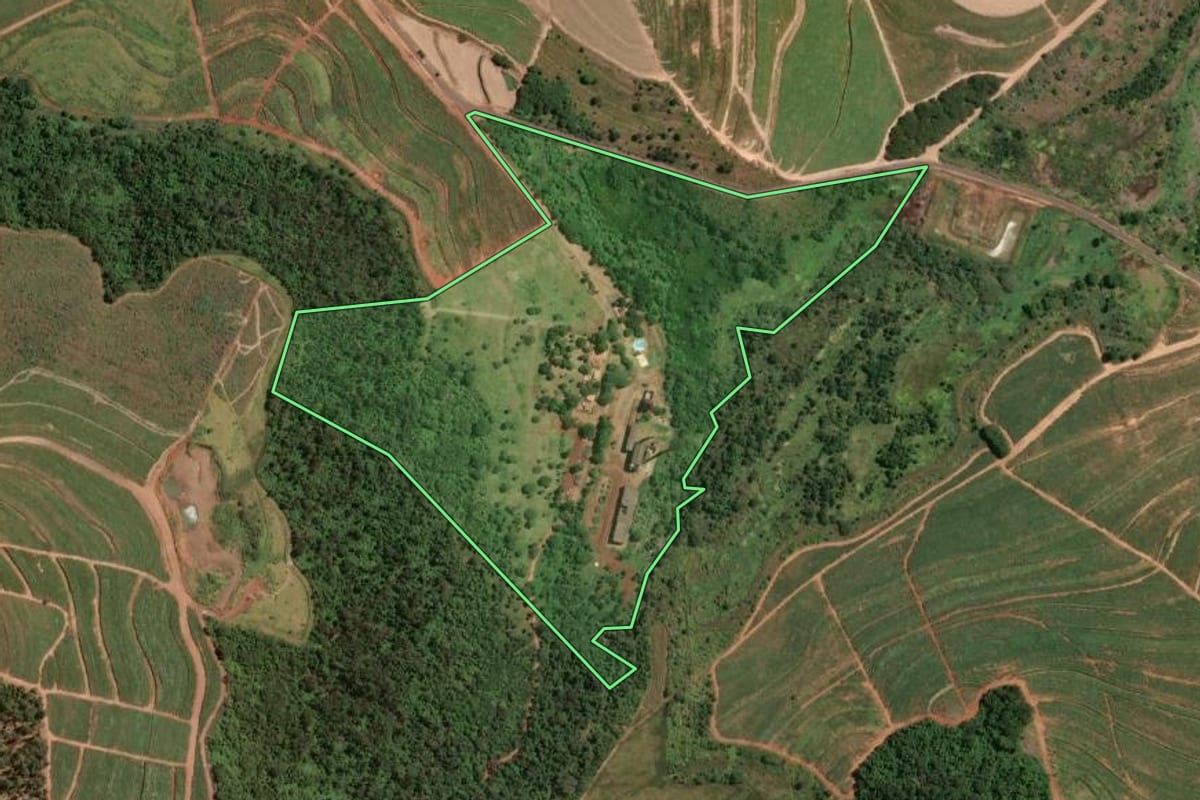 Imagem de satélite do imóvel rural em Brotas (SP), com o contorno declarado no CAR desenhado por cima.