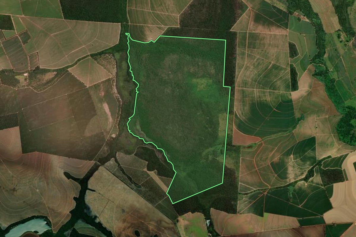 Imagem de satélite do imóvel rural em Brotas (SP), com o contorno declarado no CAR desenhado por cima.