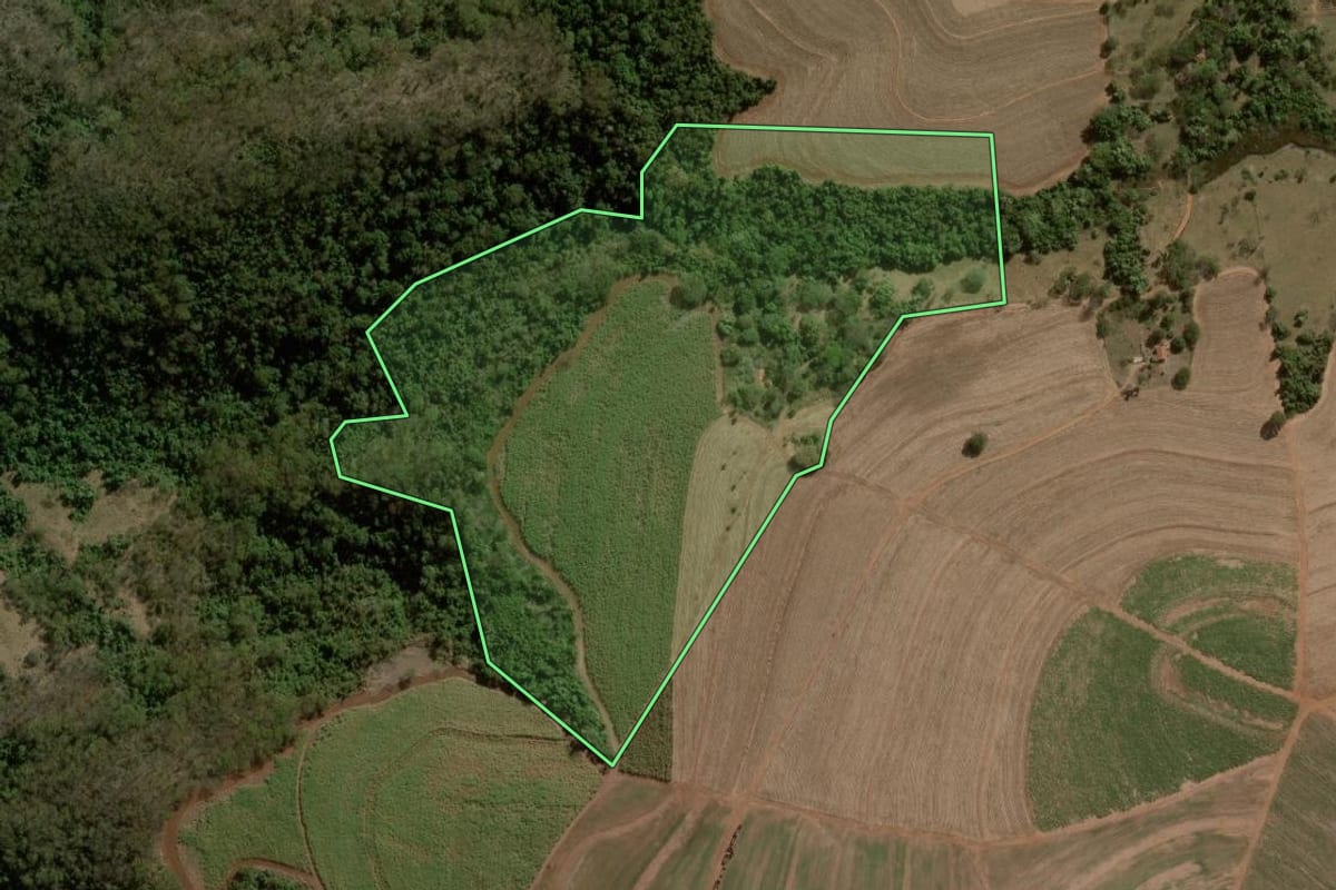 Imagem de satélite do imóvel rural em Brotas (SP), com o contorno declarado no CAR desenhado por cima.