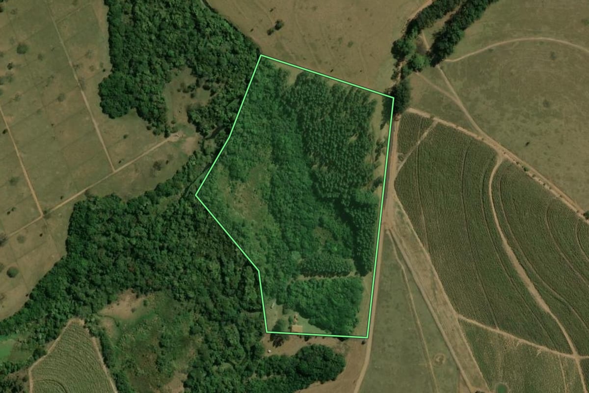 Imagem de satélite do imóvel rural em Brotas (SP), com o contorno declarado no CAR desenhado por cima.