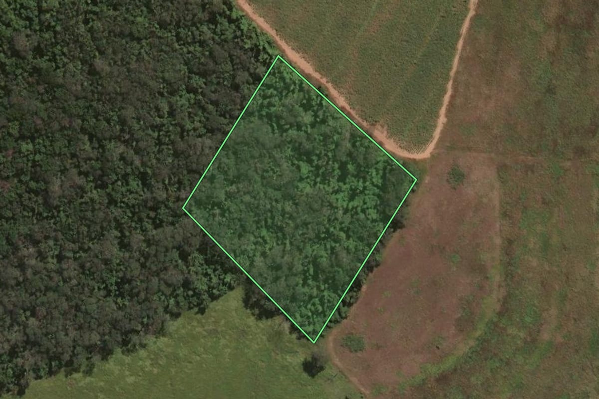 Imagem de satélite do imóvel rural em Brotas (SP), com o contorno declarado no CAR desenhado por cima.