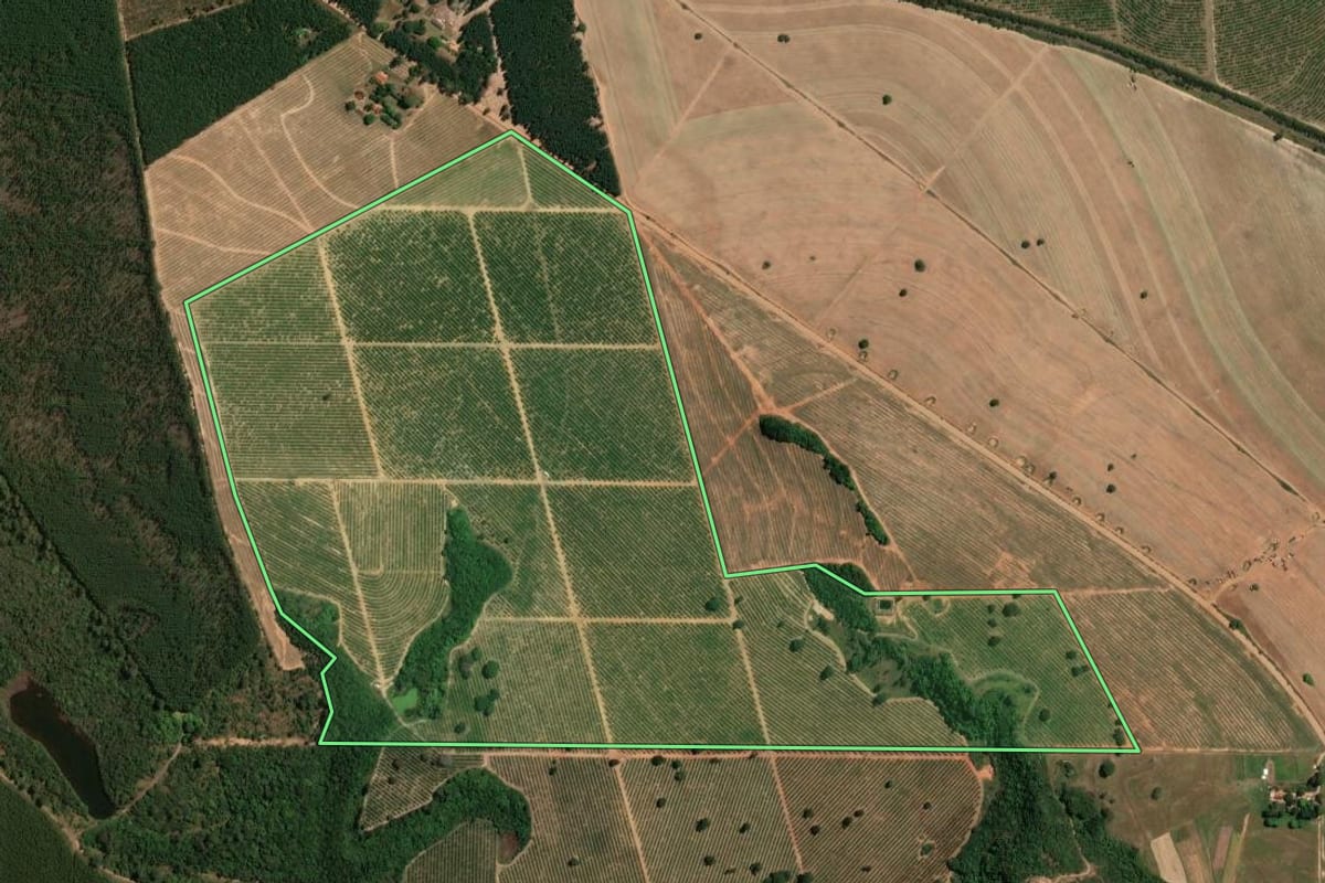 Imagem de satélite do imóvel rural em Brotas (SP), com o contorno declarado no CAR desenhado por cima.