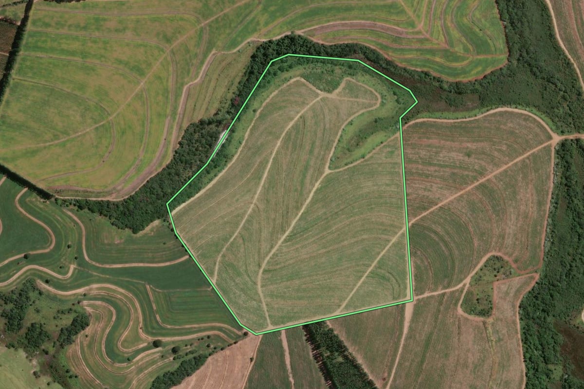 Imagem de satélite do imóvel rural em Brotas (SP), com o contorno declarado no CAR desenhado por cima.