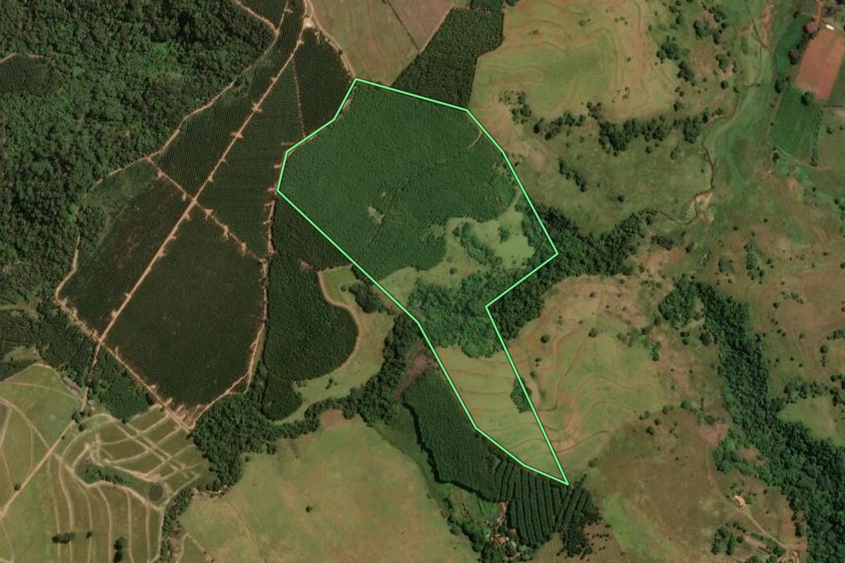 Imagem de satélite do imóvel rural em Brotas (SP), com o contorno declarado no CAR desenhado por cima.