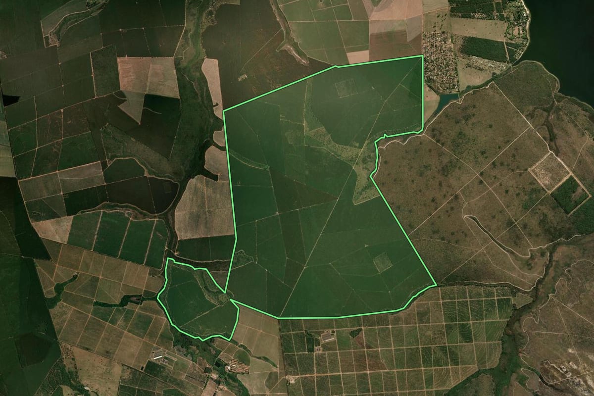 Imagem de satélite do imóvel rural em Brotas (SP), com o contorno declarado no CAR desenhado por cima.