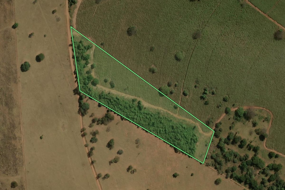 Imagem de satélite do imóvel rural em Brotas (SP), com o contorno declarado no CAR desenhado por cima.