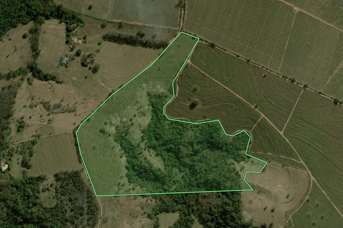 Imagem de satélite do imóvel rural em Brotas (SP), com o contorno declarado no CAR desenhado por cima.