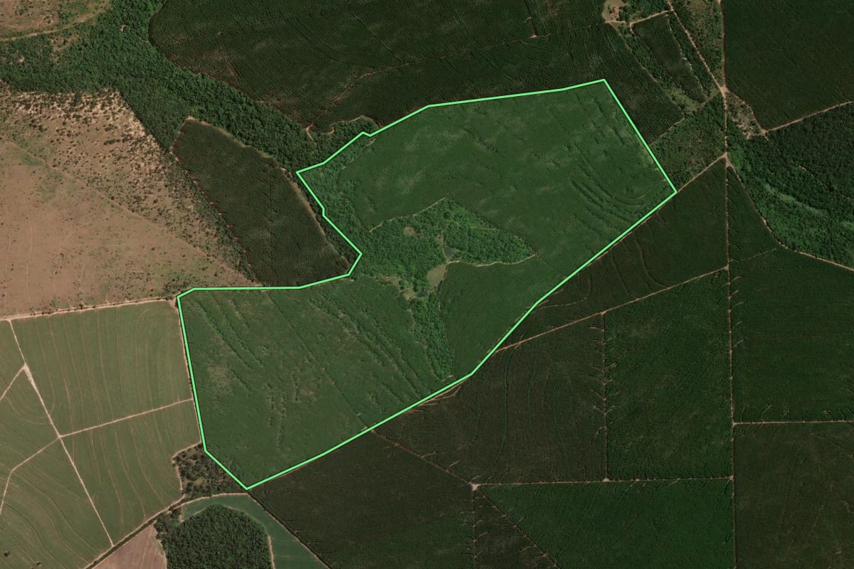 Imagem de satélite do imóvel rural em Brotas (SP), com o contorno declarado no CAR desenhado por cima.