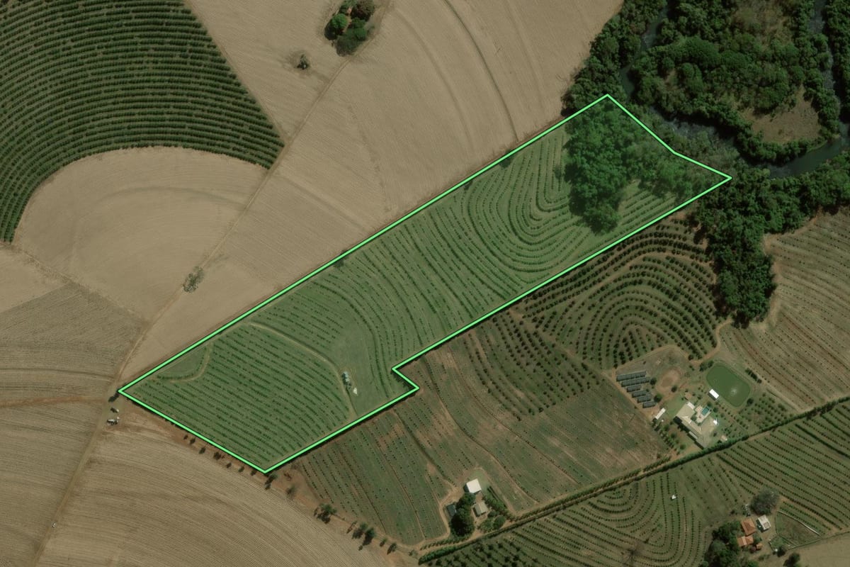 Imagem de satélite do imóvel rural em Brotas (SP), com o contorno declarado no CAR desenhado por cima.
