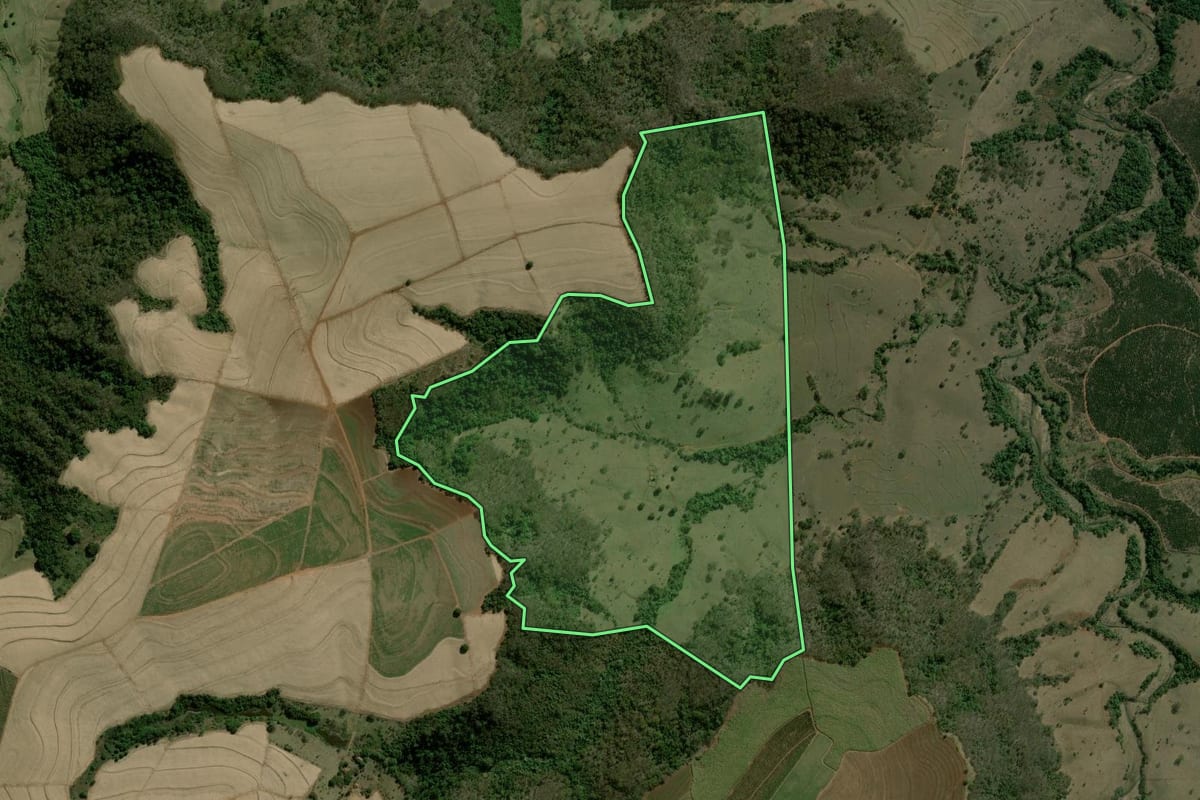 Imagem de satélite do imóvel rural em Brotas (SP), com o contorno declarado no CAR desenhado por cima.