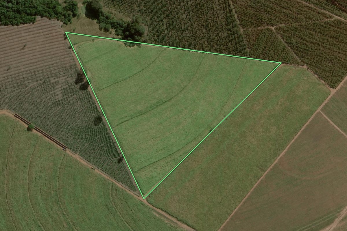 Imagem de satélite do imóvel rural em Brotas (SP), com o contorno declarado no CAR desenhado por cima.