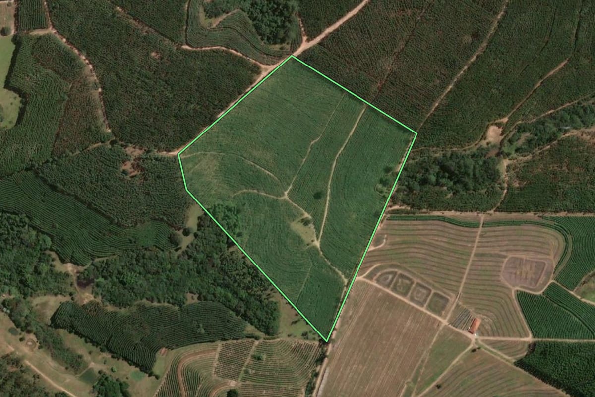 Imagem de satélite do imóvel rural em Brotas (SP), com o contorno declarado no CAR desenhado por cima.