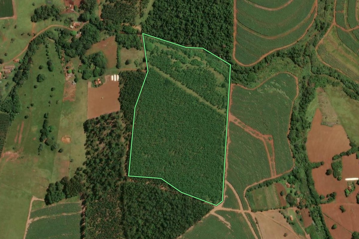 Imagem de satélite do imóvel rural em Brotas (SP), com o contorno declarado no CAR desenhado por cima.