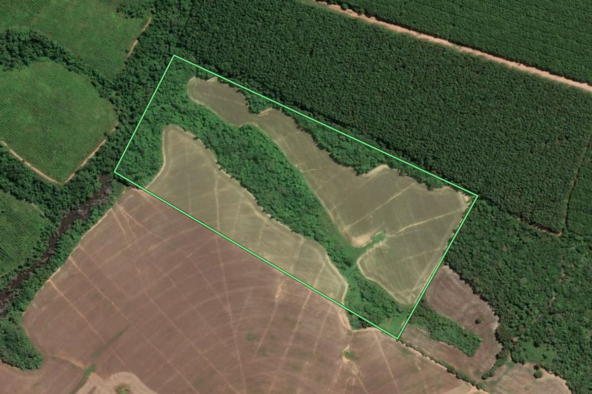 Imagem de satélite do imóvel rural em Buri (SP), com o contorno declarado no CAR desenhado por cima.