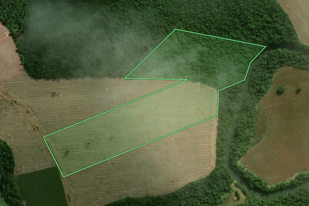 Imagem de satélite do imóvel rural em Buri (SP), com o contorno declarado no CAR desenhado por cima.