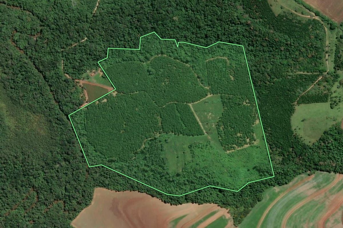 Imagem de satélite do imóvel rural em Buri (SP), com o contorno declarado no CAR desenhado por cima.