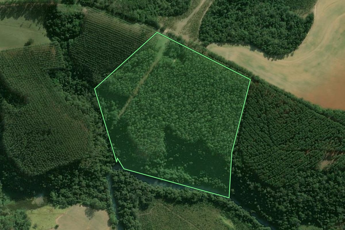 Imagem de satélite do imóvel rural em Buri (SP), com o contorno declarado no CAR desenhado por cima.